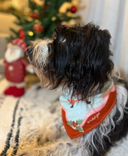 Bandana Santa Claus