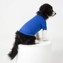 T-shirt Azul Royal