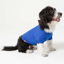 T-shirt Azul Royal
