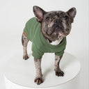 T-shirt Verde Oliva