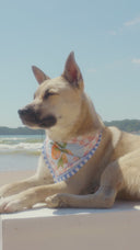 Bandana Orange Mania