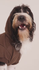Moletom Hoodie Marrom