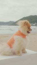 Blusa Sunblock Laranja