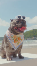 Bandana Orange Mania